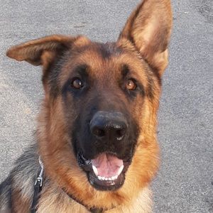 Meet your Posher, Ariana